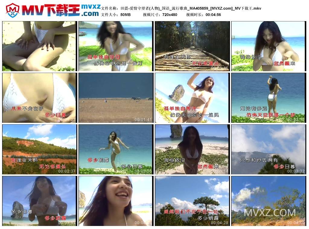 田震-爱情守望者(人物)_国语_流行歌曲_MA405859